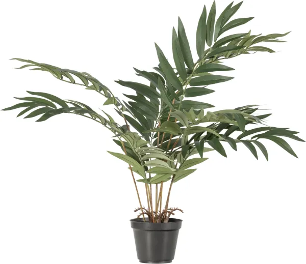 Kwai, konstgjord växt, grön, H68x50x51 cm.